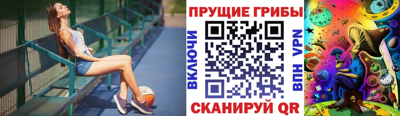 Галлюциногенные грибы Psilocybine cubensis OMG ONION Строитель где найти